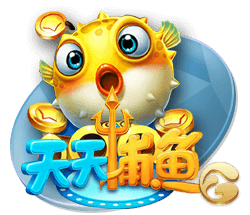侑开始了什么梗
