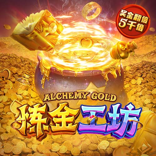 斑鸠哥是什么梗